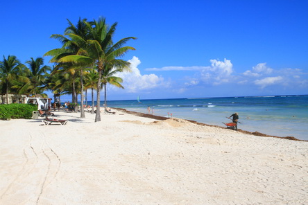 20150111_714 MX, QR, Tulum, Dreams Hotel, Strand.JPG